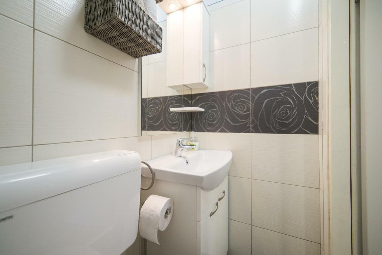 Studio Apartment Finta Rogotin Dış mekan fotoğraf