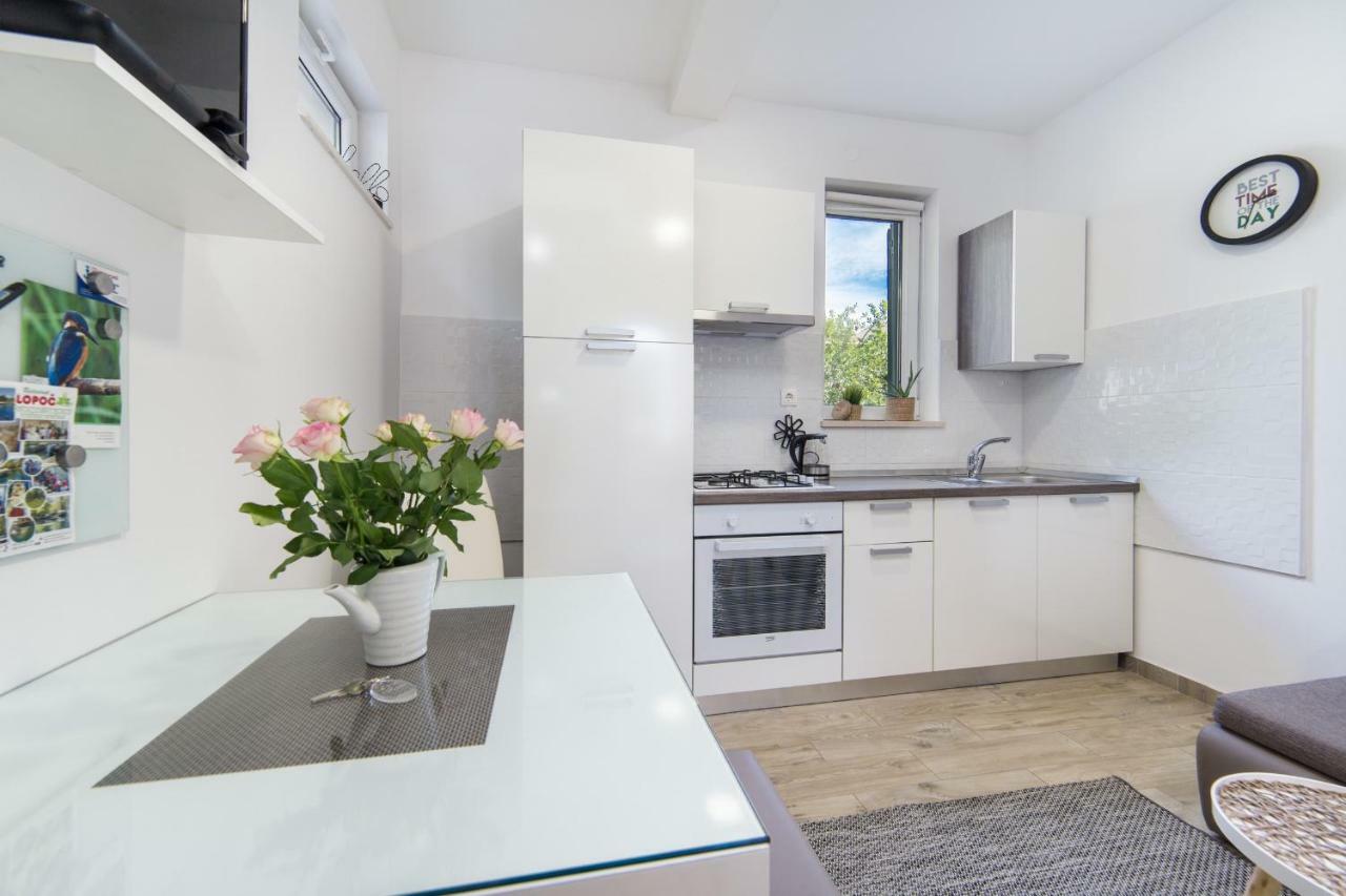 Studio Apartment Finta Rogotin Dış mekan fotoğraf